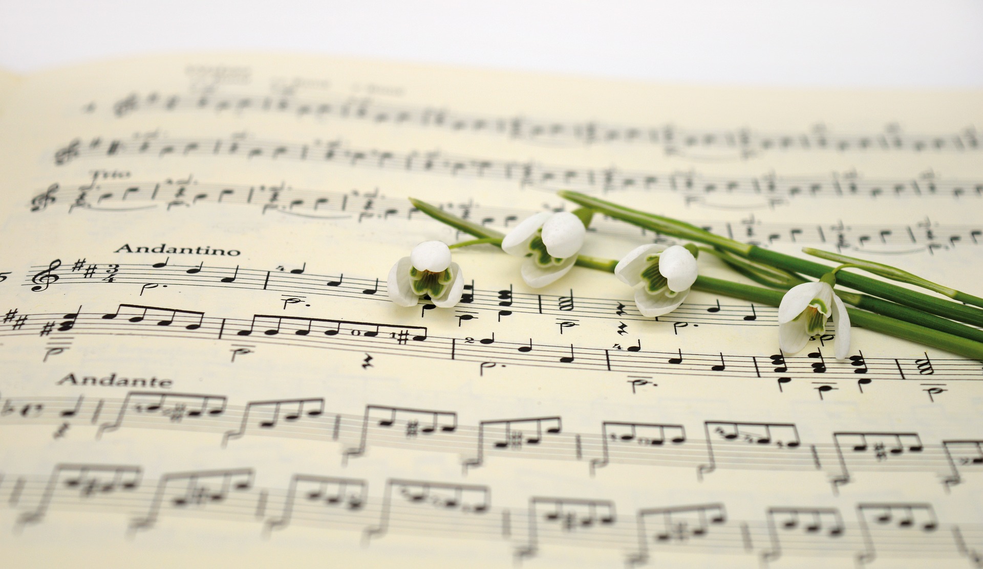 Music